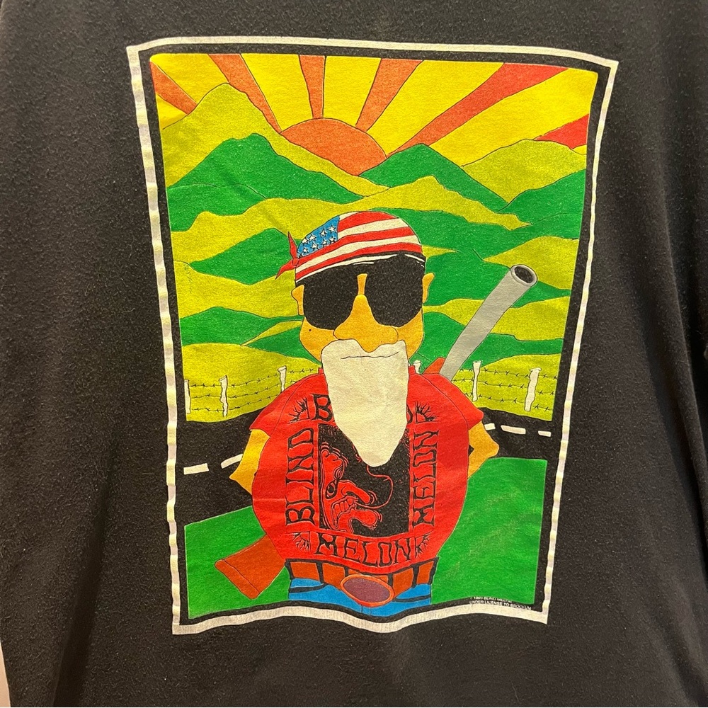Rare Vintage Original 1993 Blind Melon Tour Shirt